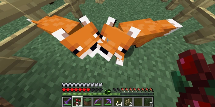 How To Tame A Fox In Minecraft